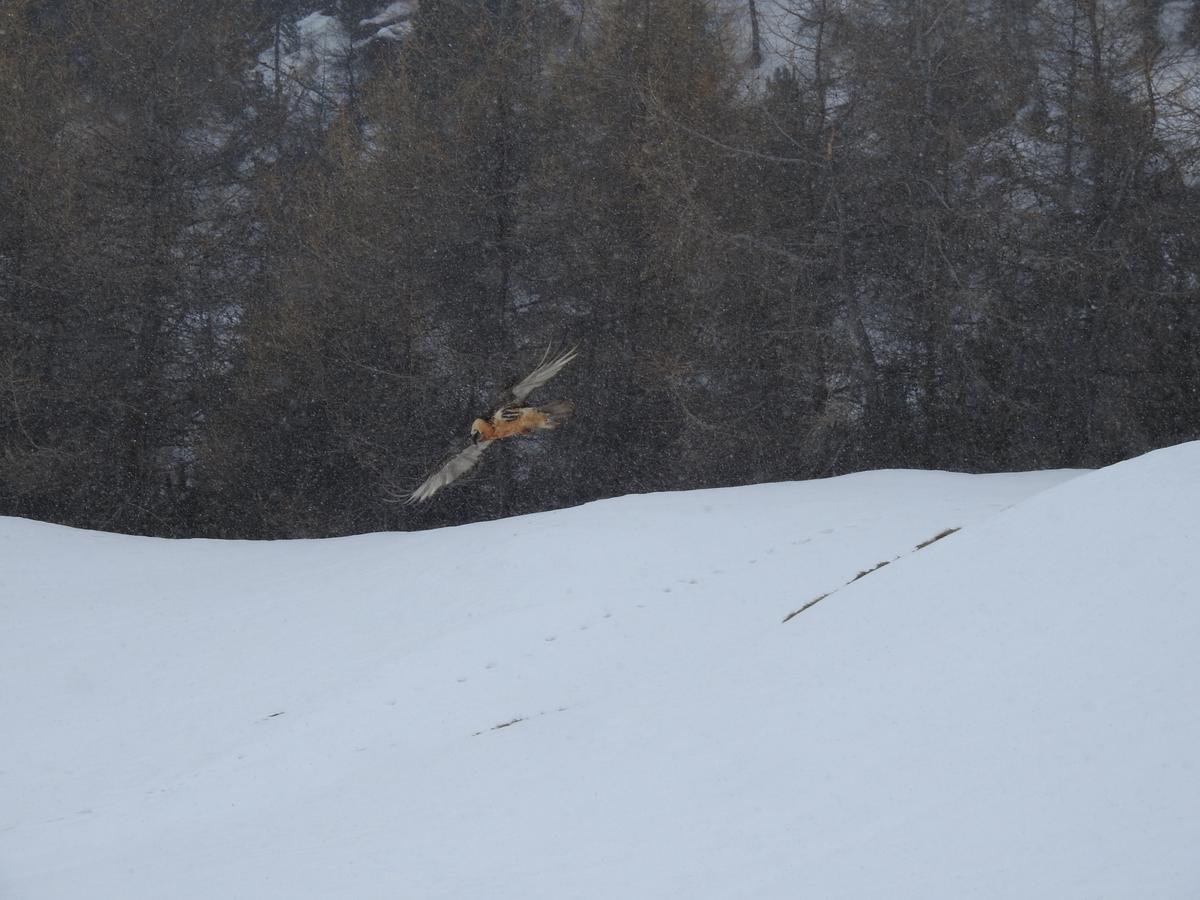 Baita Laura Livigno Exteriér fotografie
